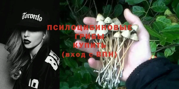 стафф Балабаново