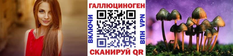 Псилоцибиновые грибы ЛСД закладки Гудермес