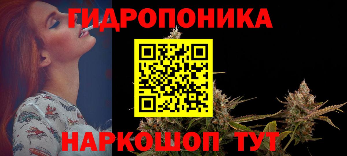 Бошки Шишки планчик  Вход с VPN  Шишки марихуана ГИДРОПОН  Гудермес 