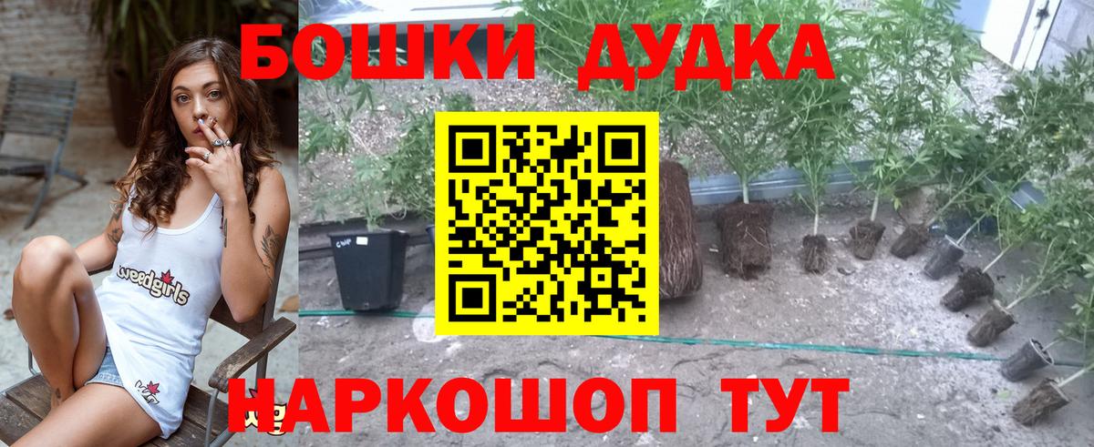 МАРИХУАНА семена Гудермес